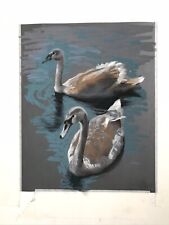 Original Pastellkunst. Ein Paar junge Schwäne. Zeichnung Pastell. Animalistic