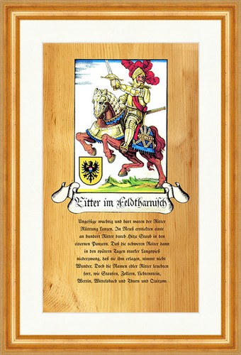 Ritter feldharnisch - ritter, im