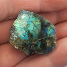 Klein aber Fein Poliert