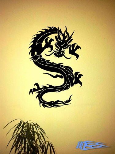 Wandtattoo drache - wandtattoo,