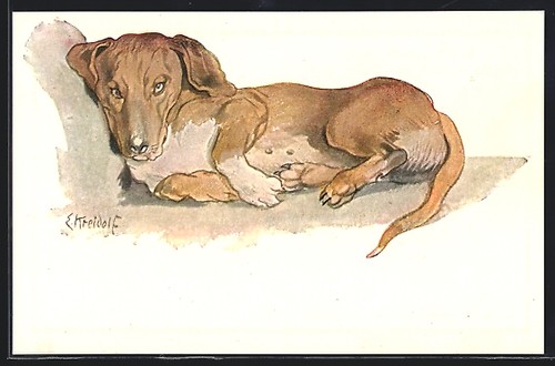 Künstler ernst kreidolf - künstler-ak,