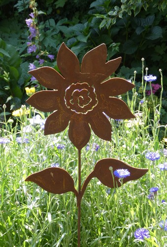 Sonnenblume marie - sonnenblume,