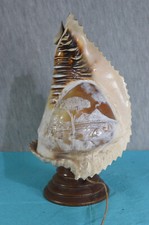 2. )) MUSCHEL LAMPE /