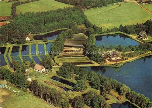 Soltau forellenzucht - soltau,