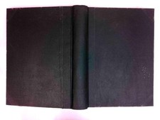 Naturwissenschaftliche Umschau der Chemiker - Zeitung : 1916 - 1921 v. Vietingho