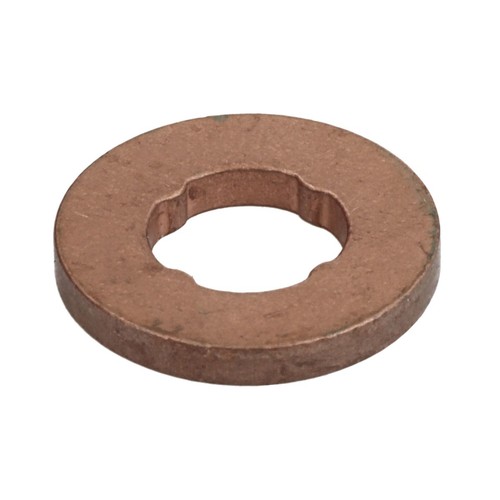 Dichtring düsenschacht fpt - dichtring,,