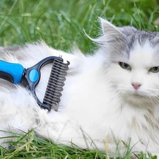 Katzen- und Hundebürste |