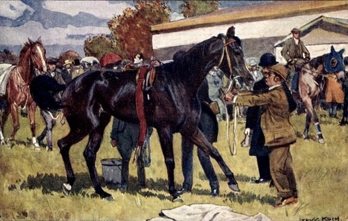 Künstler pferd rennpferd - ak,