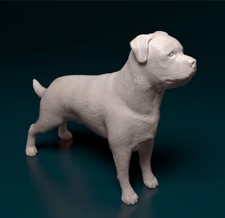 Rottweiler Dog Scale Model