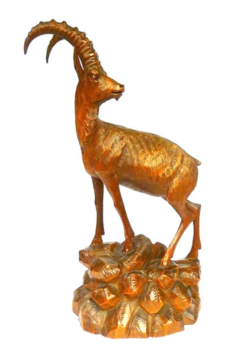 Großer steinbock schwarzwald - großer,