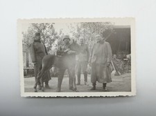 Foto - Soldat - Uniform - Helm - Kradmelder - Mantel - Fohlen - 2. Weltkrieg 