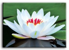 Premium Leinen Kunst Weiß