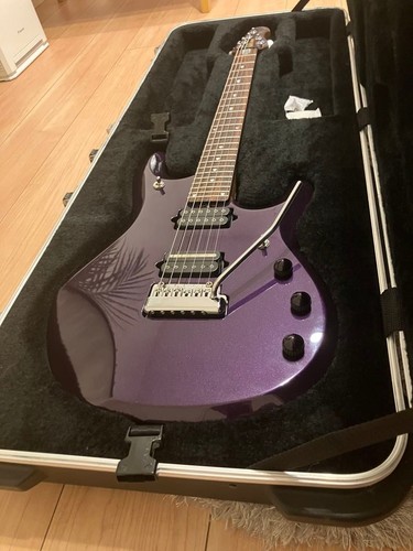 Ernie ball music - ernie, man