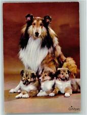 12093545 - mit Welpen - Werbung Gimpet Zooartikel  Collie