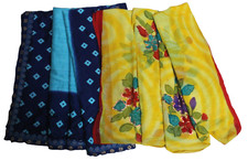 Indischer Posten Sari Frauen