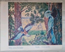 VOSS Margarine Kunstbilder