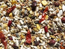 Papageienfutter PREMIUM 20kg Vogelfutter Samenmischung Premiumfutter Papagei Ara