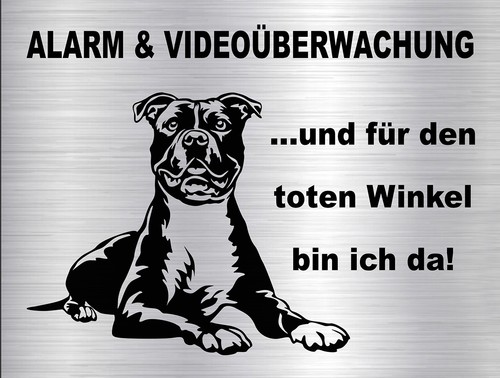 Staffordshire terrier - am.,  terrier