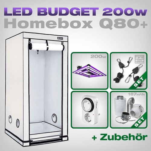 Homebox q80 80x80x180 led - homebox,