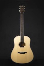 Seagull Artist Mosaic Anthem