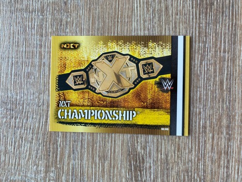 Wwe slam attax 10th - wwe,