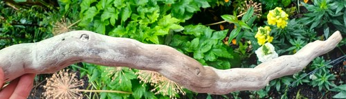 Leicht gewelltes helles - ,