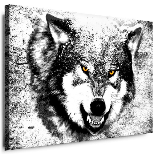 Wandbild wolf bilder xxl - wandbild,