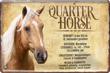 Blechschild 20x30 Quarter