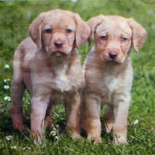 3 Servietten ~ Zwei süsse Welpen Hunde Puppies  Labrador 