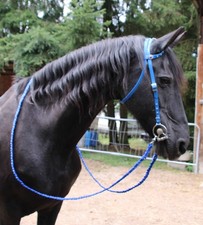 Tolle EINOHRTRENSE mit Strass Showtrense Cob - Full Trense Kopfstück + Zügel