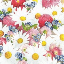 Servietten blumen flower - servietten,