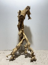 Mopani Wurzel ähnlich Mangrove Aquariumwurzel XL #530 L28 x T24 x H52 cm