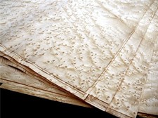 16x VOGELAUGEN-AHORN FURNIER Edelholz Design Holz Wand Schreiner Schrank DIY