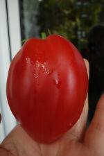 SEHR LECKER! Russische Tomate