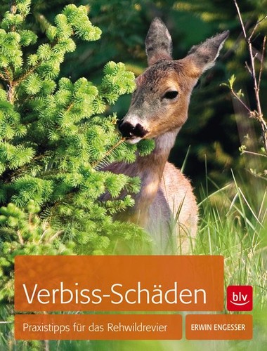 Verbiss schäden praxistipps - verbiss-schäden,