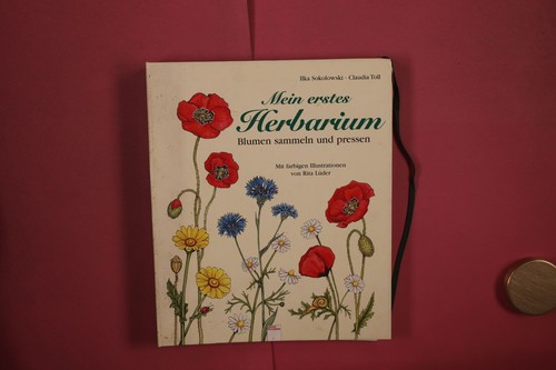 366402 ilka sokolowski - ilka,