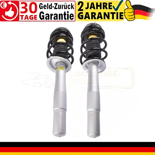 Stoßdämpfer komplett - 2x,