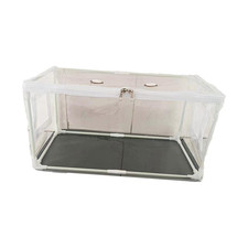 Pilzzuchtbox durchsichtige - pilzzuchtbox,