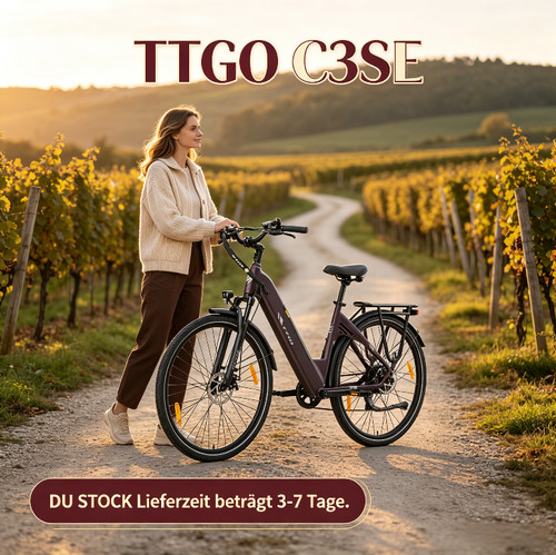 28zoll elektrofahrrad ttgo - elektrofahrrad, c3