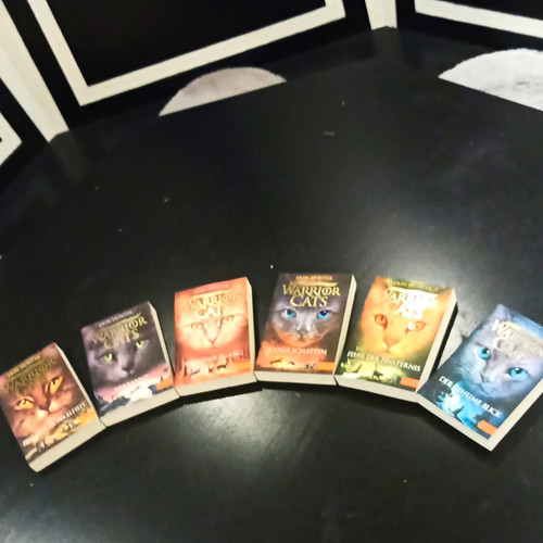 Erin hunter warrior cats - erin,