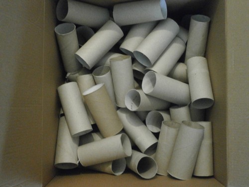 100 leere klopapierrollen - +++,