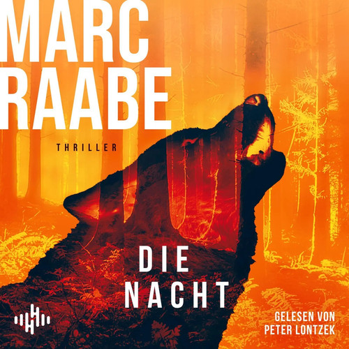 Die nacht - mayer-serie, 3)
