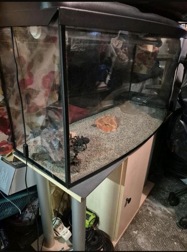 200l aquarium komplett - aquarium, komplett,