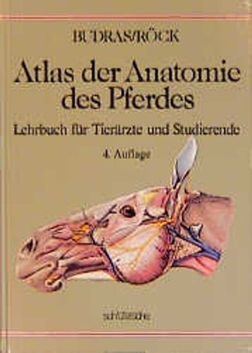 Atlas der anatomie des - atlas,