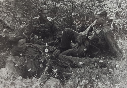 Foto waffen ss - 7,