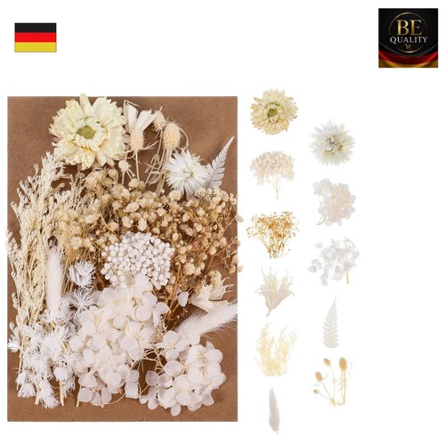 Elegante trockenblumen für - elegante,