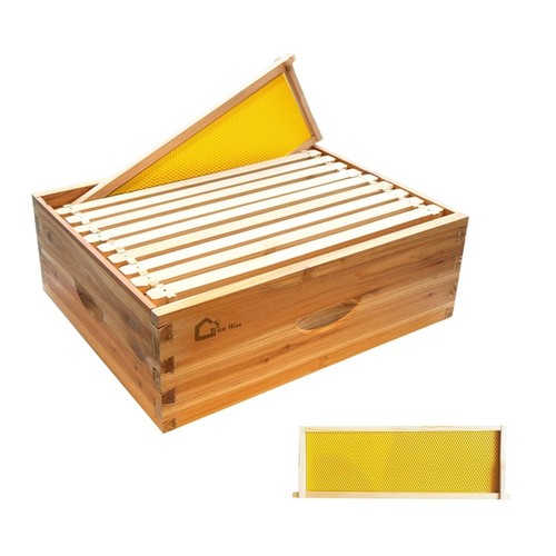 Bienenbeute rähmchen - bienenbeute, 10-rähmchen