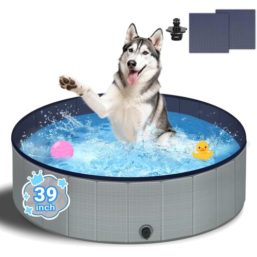 Hundepool gartenteich - hundepool,
