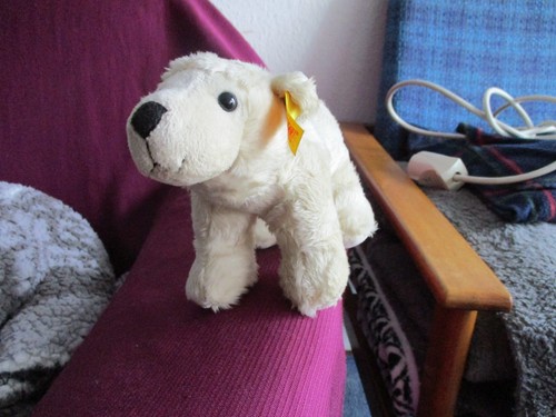 Eisbär knut steiff original - eisbär,