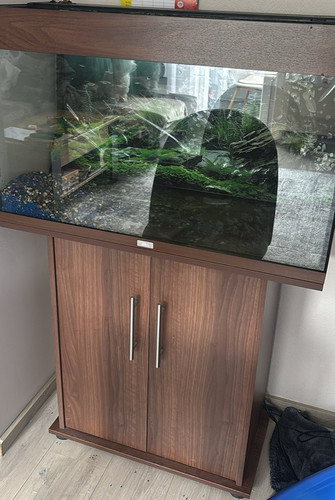 Komplettaquarium juwel vision - komplettaquarium,